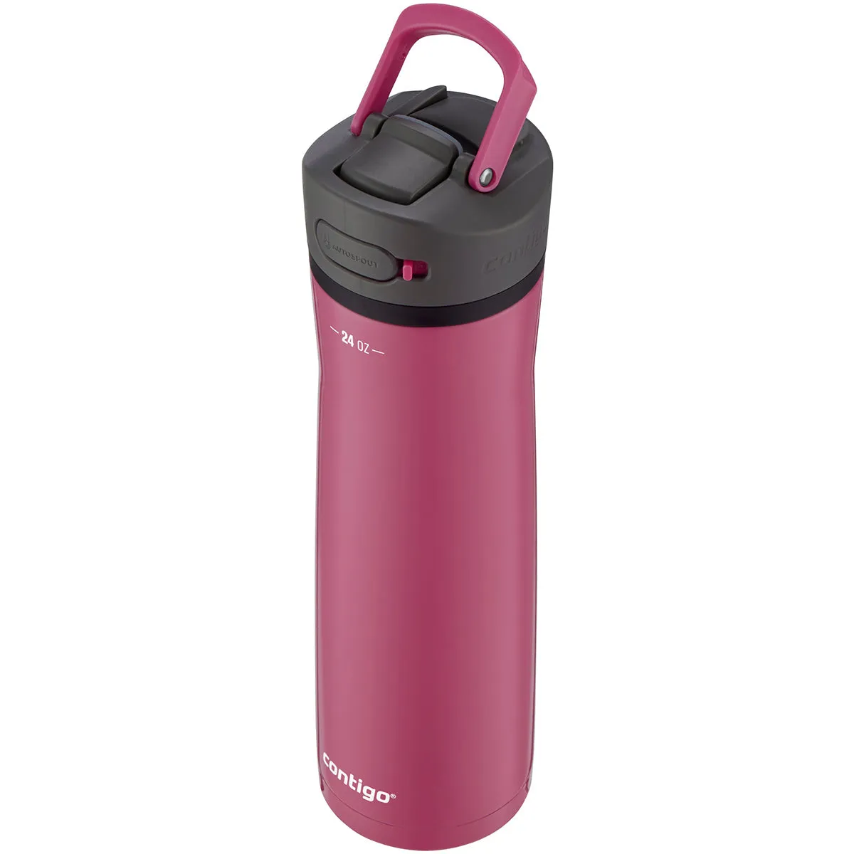 Contigo 24 oz. Ashland Chill 2.0 Vacuum Insulated Stainless Steel Water Bottle