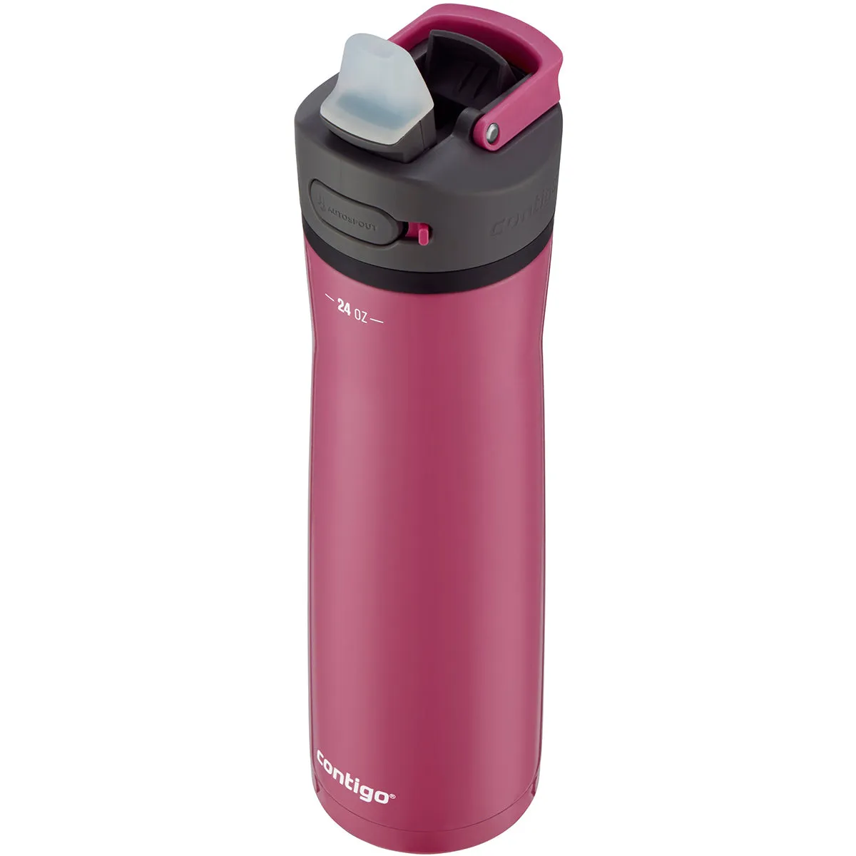 Contigo 24 oz. Ashland Chill 2.0 Vacuum Insulated Stainless Steel Water Bottle