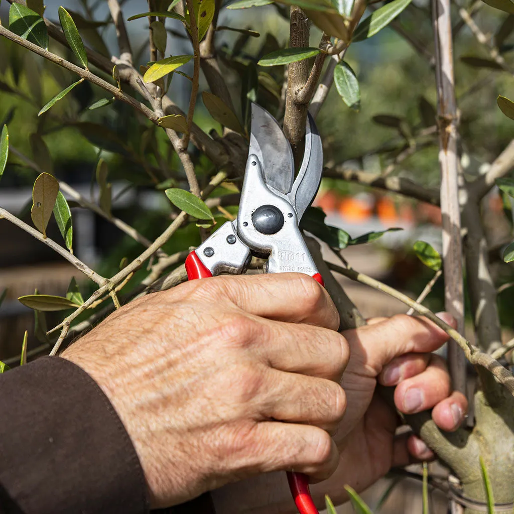 Felco F11 Pruning Shears