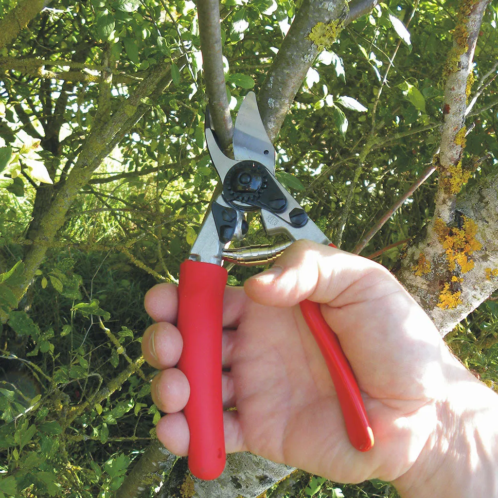 Felco F12 Pruning Shears