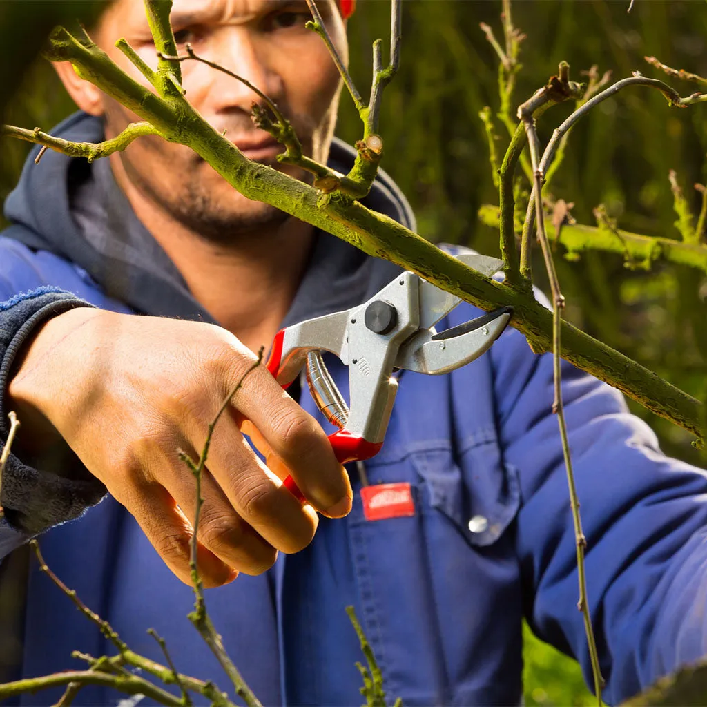 Felco F31 Anvil Pruning Shears