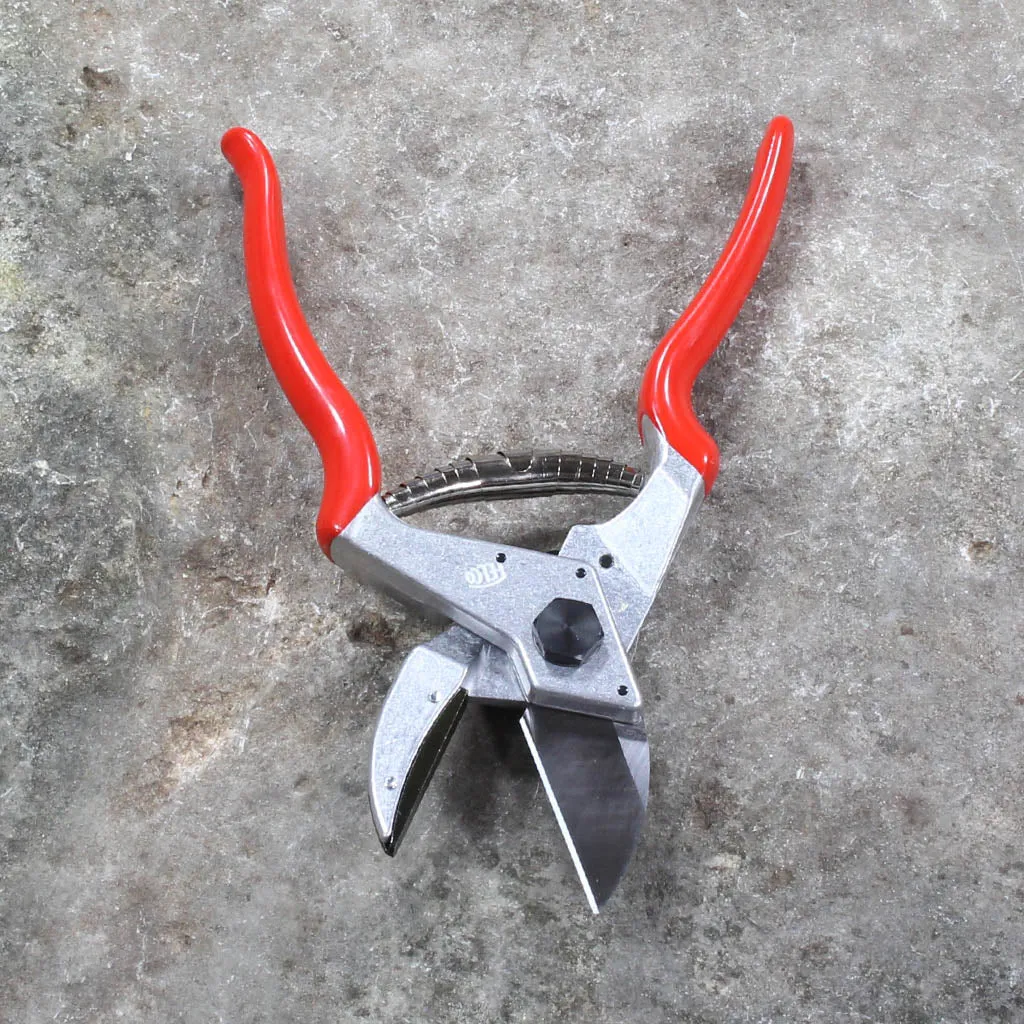 Felco F31 Anvil Pruning Shears