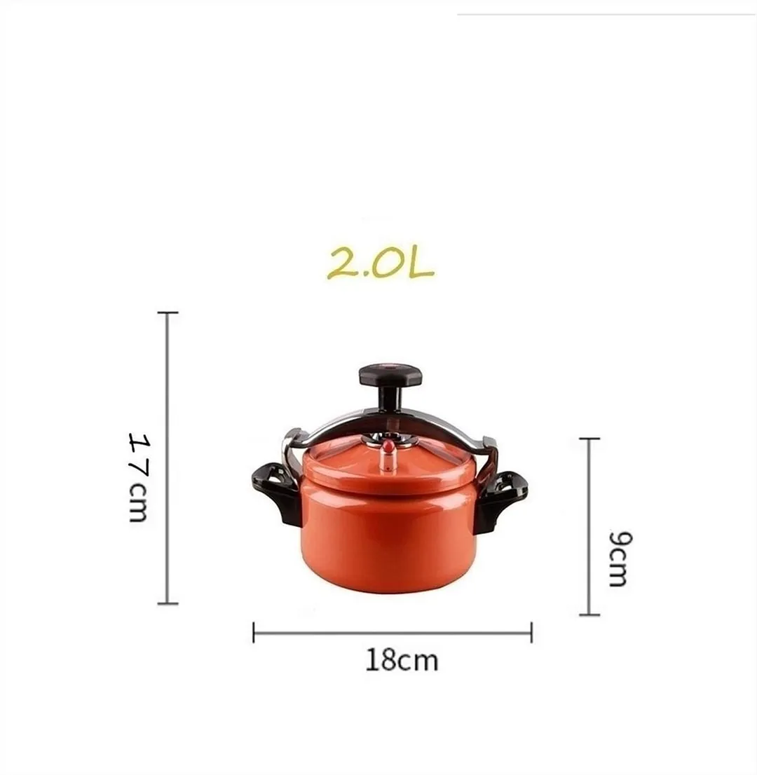 🔥Hot Sale & Free Shipping🔥 Uncoated Explosion-Proof Pressure Mini Cooker