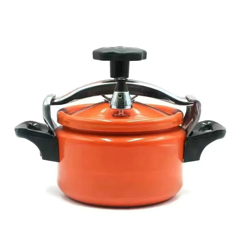 🔥Hot Sale & Free Shipping🔥 Uncoated Explosion-Proof Pressure Mini Cooker