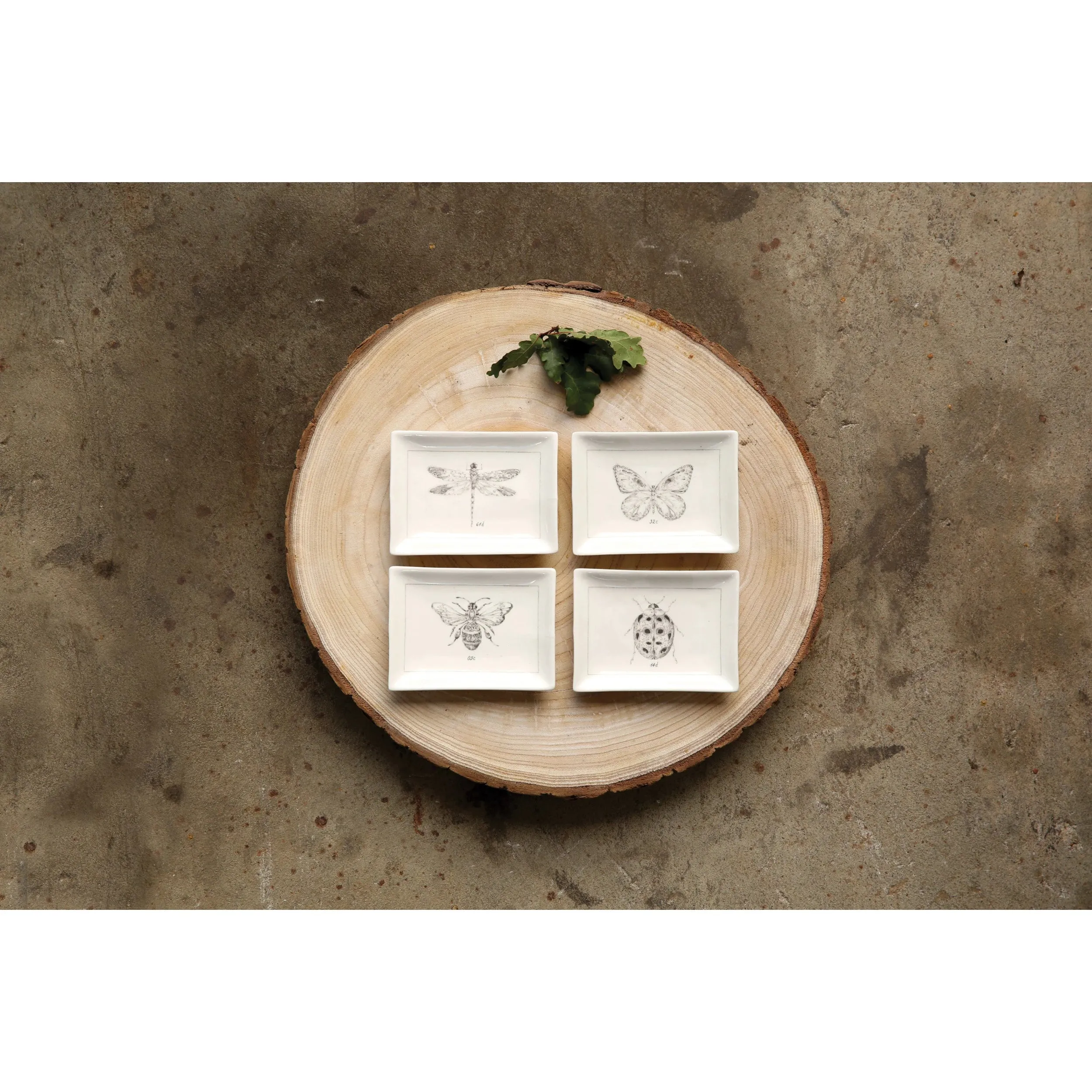 Insect Ceramic Dish