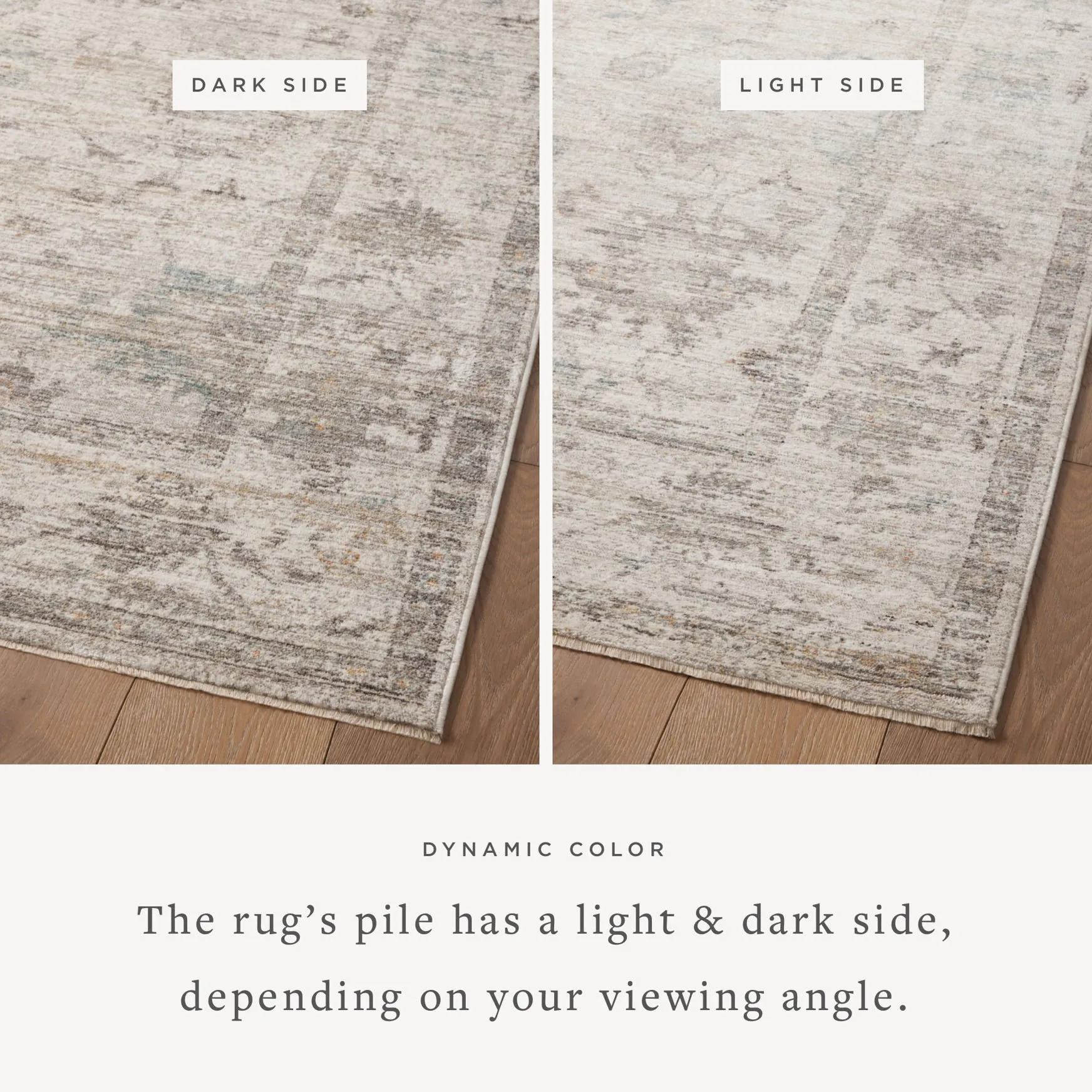 Magnolia Home x Loloi Millie Rug - Silver Dove