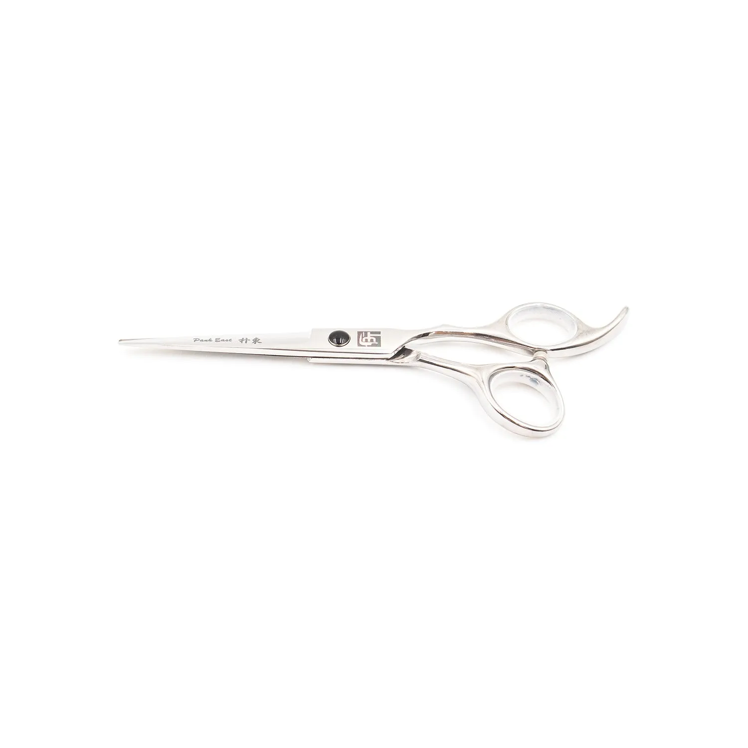 Professional 6" Salon Hair Cutting Scissors (4CR Steel)