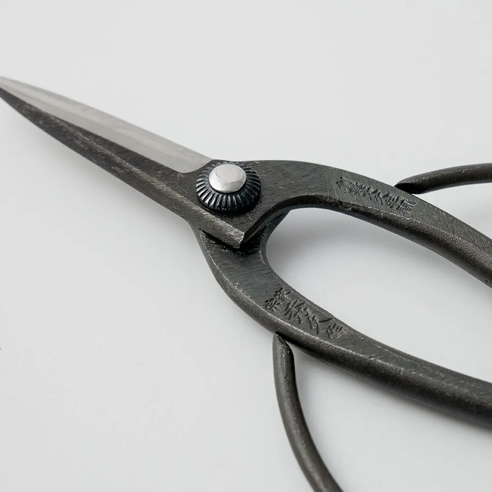 T-4N Bonsai Scissors